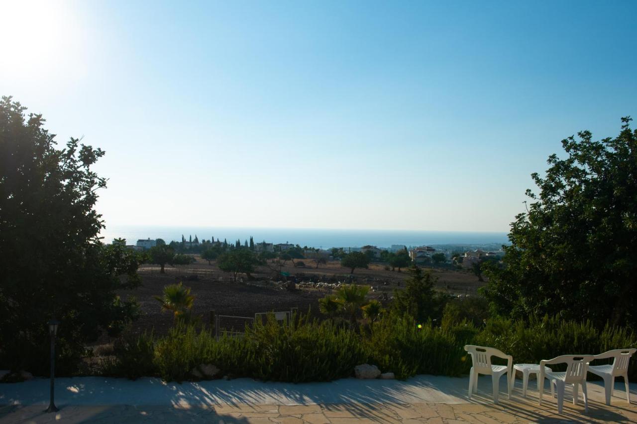 Adonis Villa Coral Bay Exteriör bild